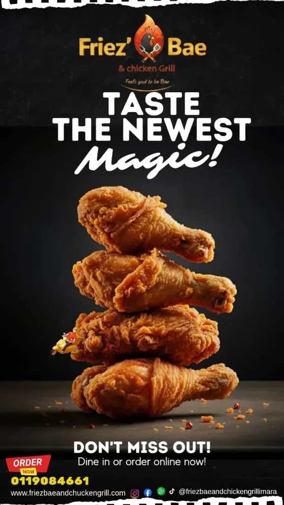 Chicken Drum Sticks